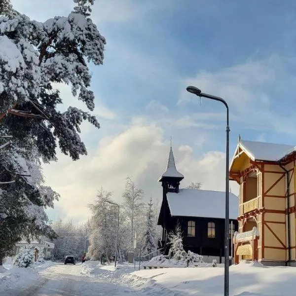 Vila Kollár Vysoké Tatry，位于高塔特拉山的酒店