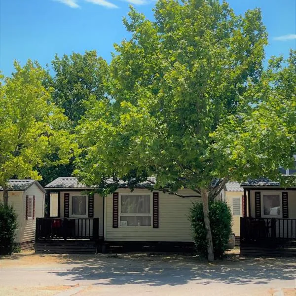 Bungalows Zaragoza Camping，位于Cadrete的酒店