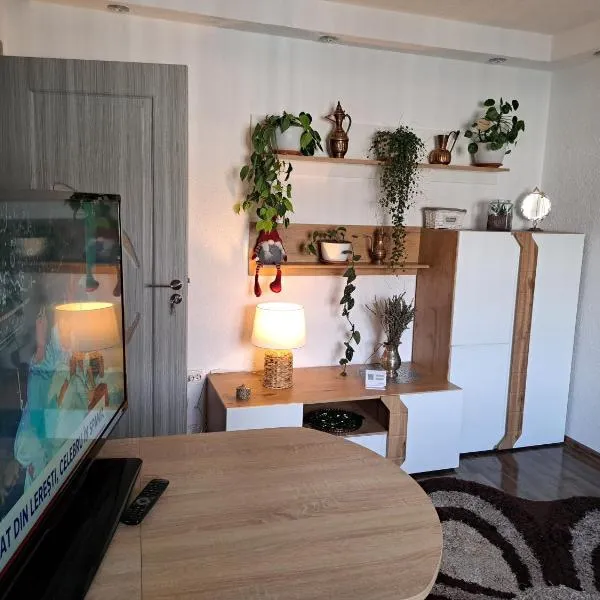 Apartament Medias Metanului，位于梅迪亚什的酒店