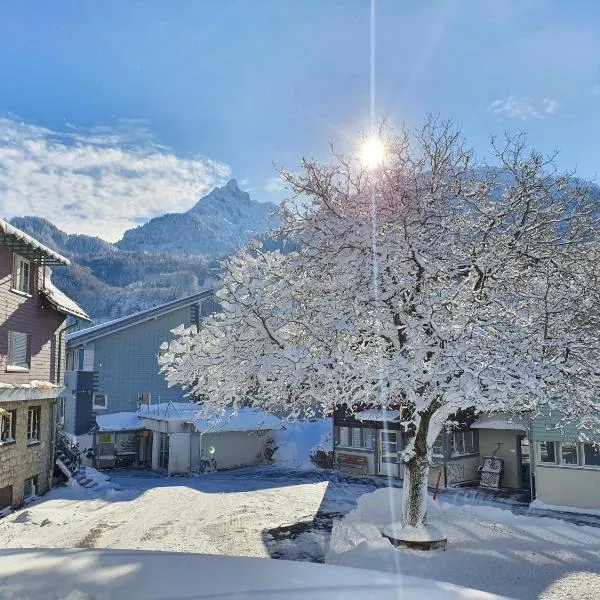 林恩赛米娜酒店，位于费尔茨巴赫的酒店