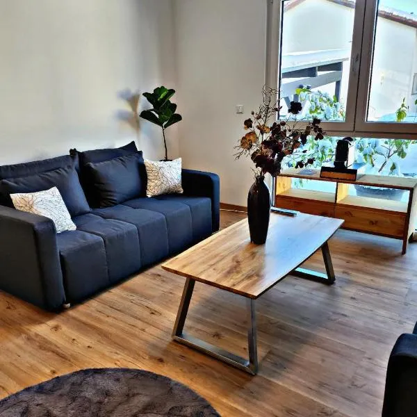 Lions Place Premium Apartments COMFORT optionaler Zugang zum SPA- Bereich，位于布拉河畔的海登海姆的酒店