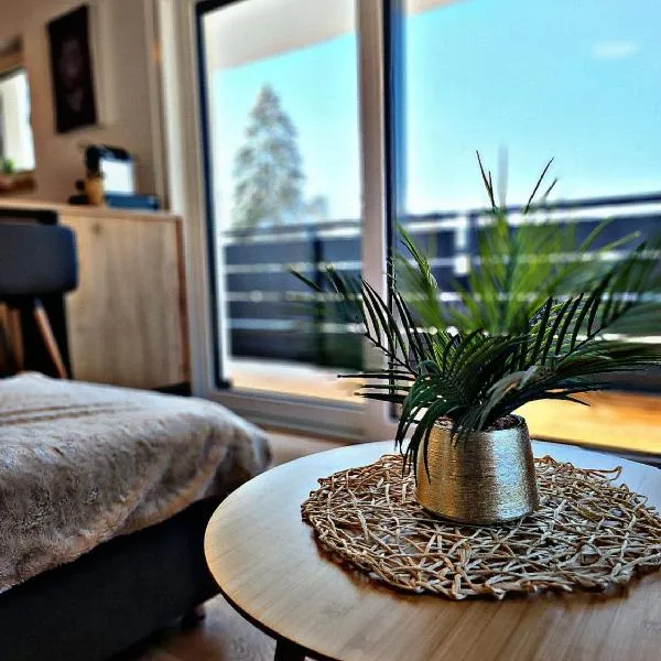 Lions Place Premium Apartments EXECUTIVE Luxus PENTHOUSE inklusive SPA，位于布拉河畔的海登海姆的酒店