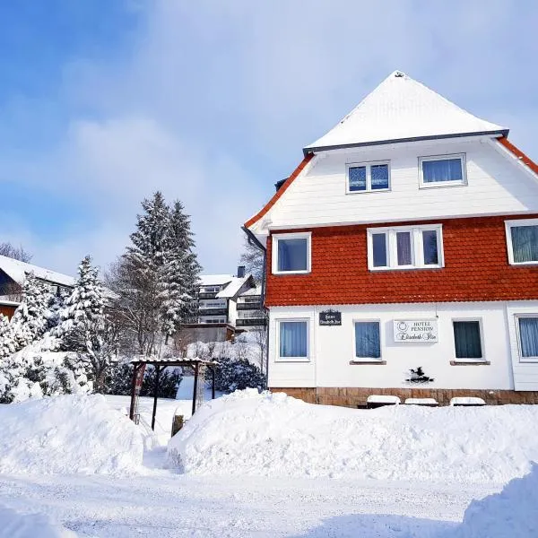 Hotel Elisabeth Ilse，位于布劳恩拉格的酒店