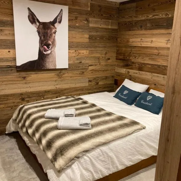 1650 Moriond - 2 Double Bedroom near Snow Front，位于谷雪维尔的酒店
