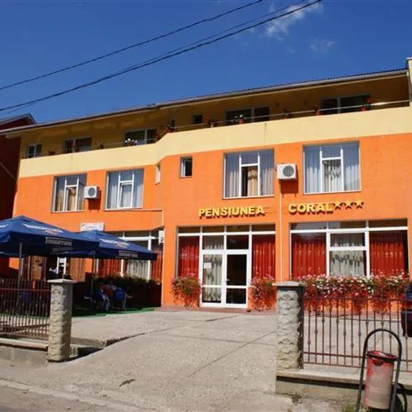 Pension Coral，位于Săsar的酒店