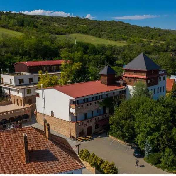 Hotel Kaskáda Kurdějov - Bed and Breakfast，位于Velké Němčice的酒店