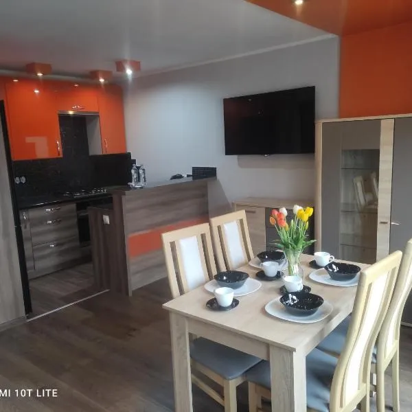 Apartament u Sylvie，位于Borki Wyrki的酒店