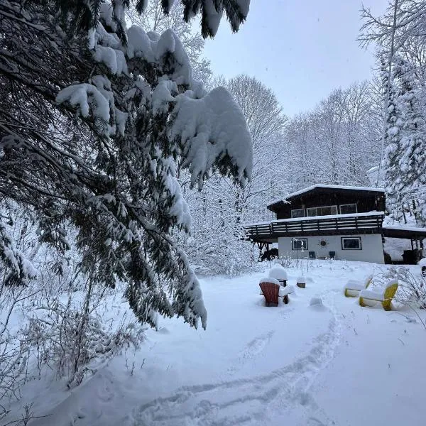 Chalet dans les arbres. 3 ch. /trees house 3bdr，位于Lac Sainte-Marie的酒店