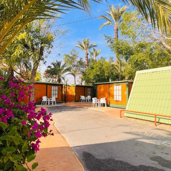 拉斯棕榈露营酒店，位于Albatera的酒店