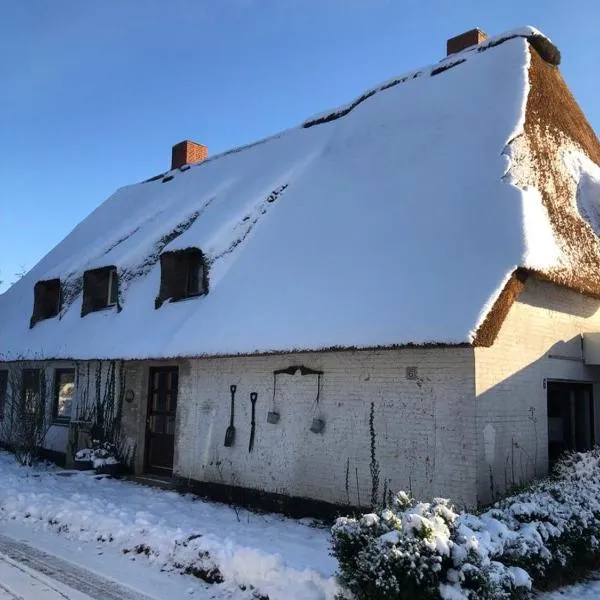 Ferienwohnungen im Reetdachhaus，位于Oldersbek的酒店