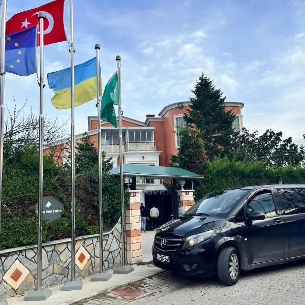 WHITE MANSION，位于Yeniköy的酒店