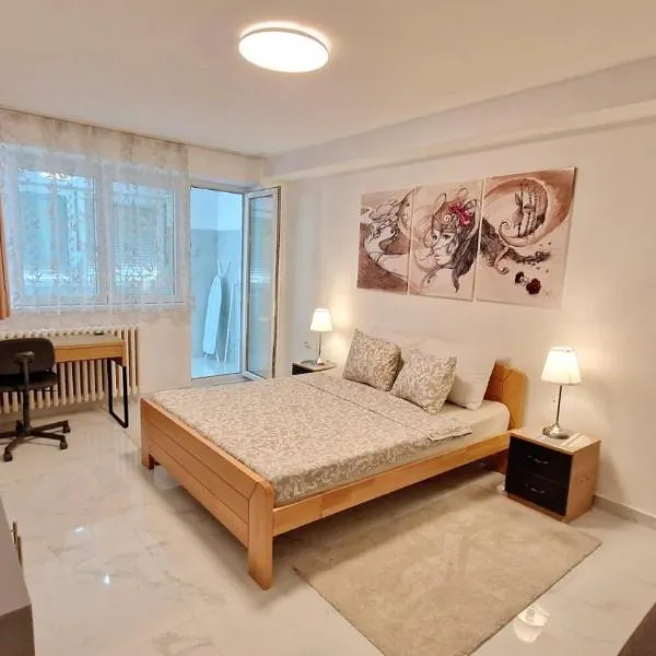 Apartman Laki，位于Tošin Bunar的酒店