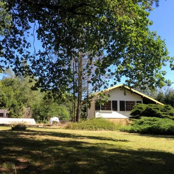 Au p’tit paradis，位于Fresse的酒店