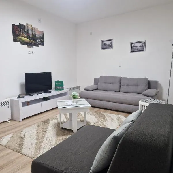 Apartman Mihajlovic Brus，位于Brus的酒店