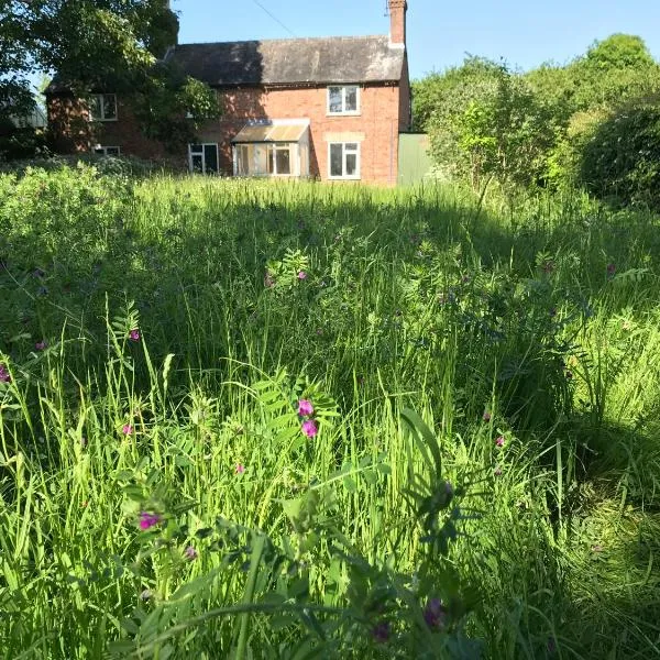 Priory Meadow Cottage，位于Long Bennington的酒店