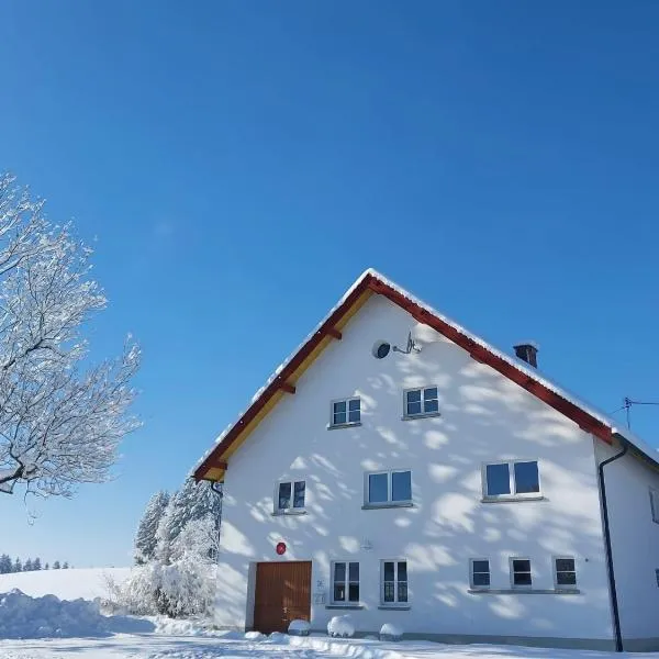 Allgäu Bergblick，位于阿尔戈伊地区洛伊特基希的酒店