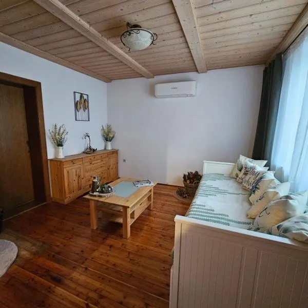 Holz Haus nähe Wien，位于特赖斯基兴的酒店