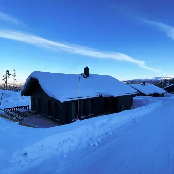 Modern och bekväm hytte nära Gaustatoppen, 4 sovrum 10 bäddar，位于Gaustablikk的酒店