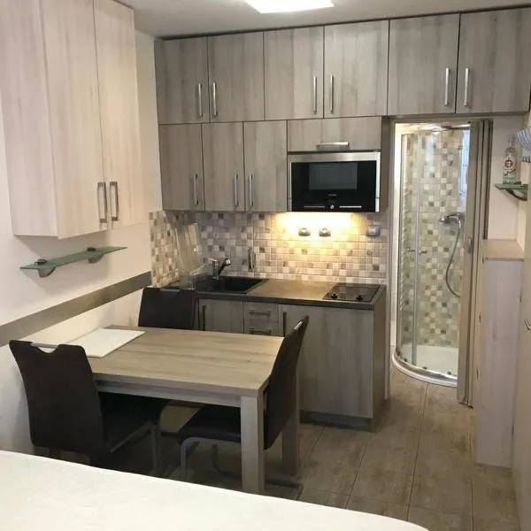 Apartmán 15 Mísečky，位于霍尔尼米瑟克基的酒店