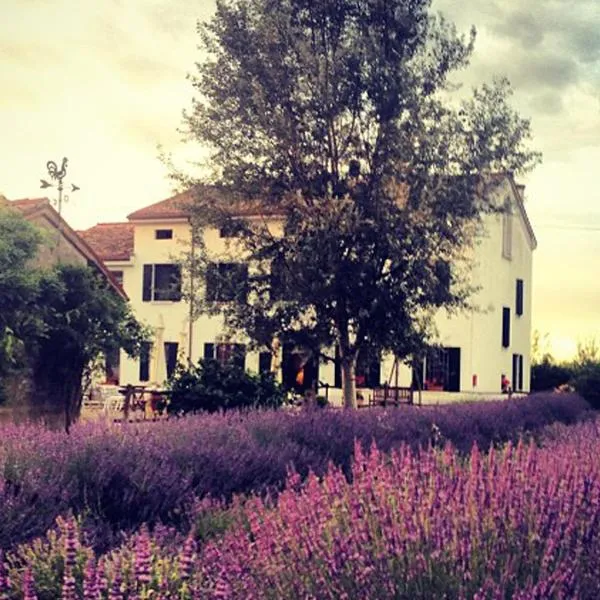 Agriturismo Viridarium，位于Castellucchio的酒店
