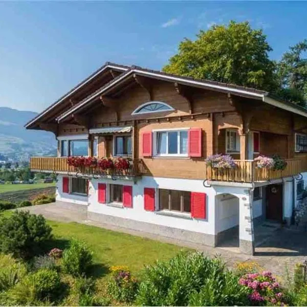 Apartment in Swiss Chalet Träumli，位于塞利斯贝格的酒店