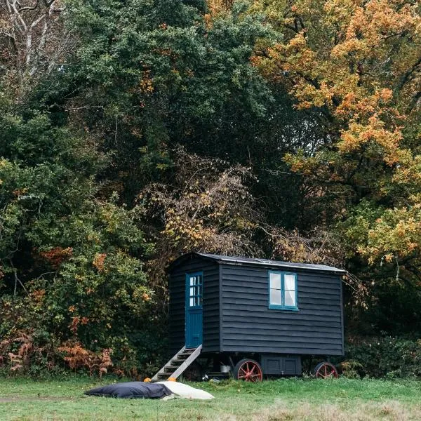 Beautiful, Secluded Shepherd's Hut in the National Park，位于Graffham的酒店