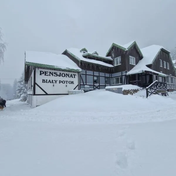 Biały Potok，位于齐莱涅克的酒店