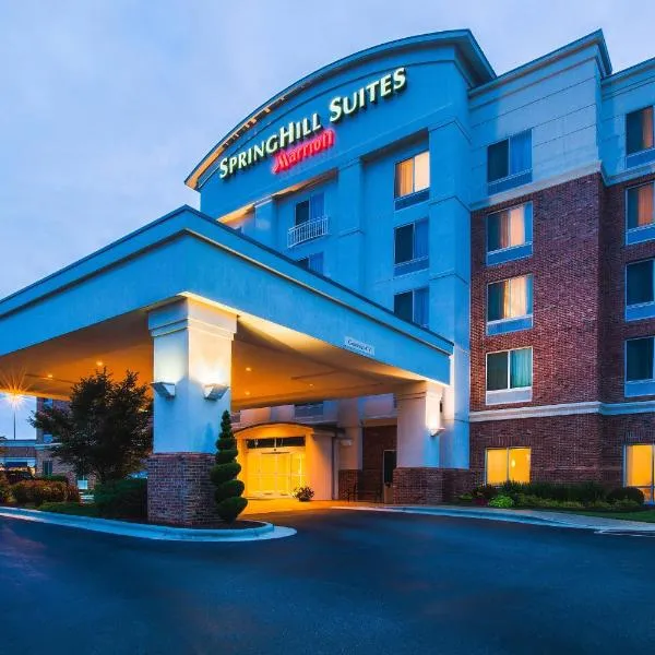 SpringHill Suites Charlotte Lake Norman/Mooresville，位于穆尔斯维尔的酒店