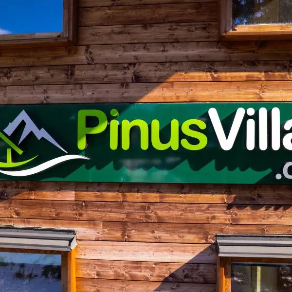 PinusVillas Conference Lodge，位于索非亚的酒店