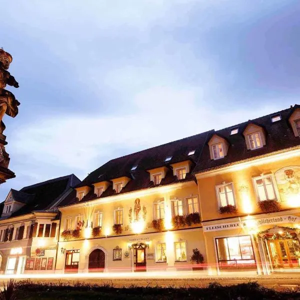 斯奇切尔兰德霍夫酒店，位于Schamberg的酒店