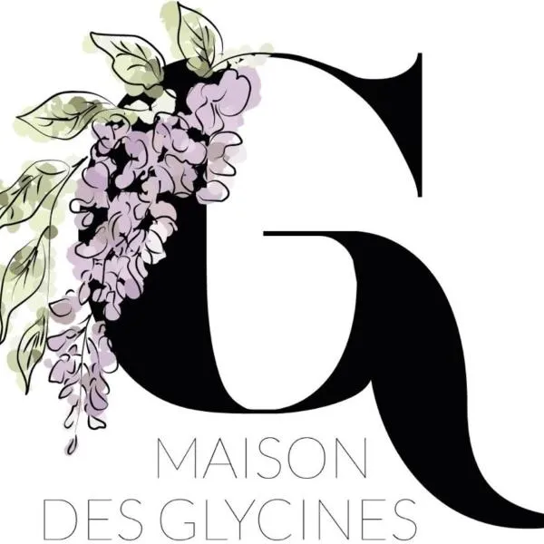 Maison Des Glycines，位于贝拉克的酒店