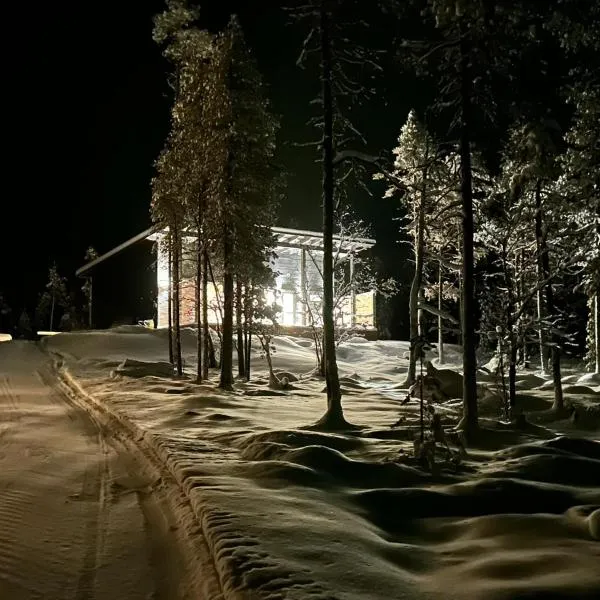 Villa Paadari，位于Lemmenjoki的酒店