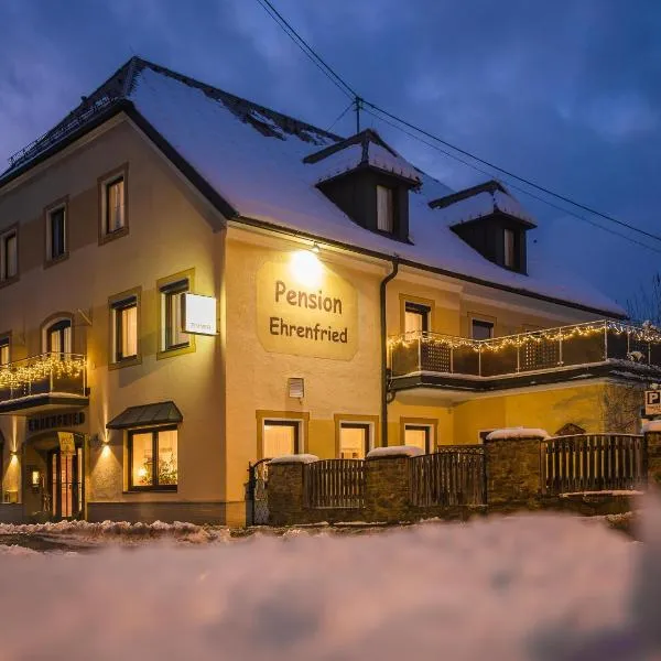 Pension Ehrenfried - Hotel garni，位于Stanz Im Murztal的酒店