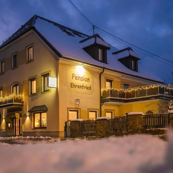 Pension Ehrenfried - Hotel garni，位于Mürzhofen的酒店