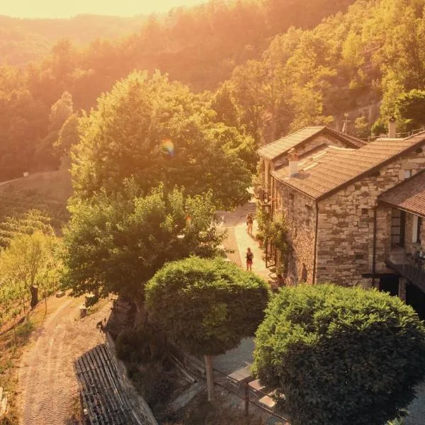 Cascina Bertolotto Wine Resort，位于Spigno Monferrato的酒店
