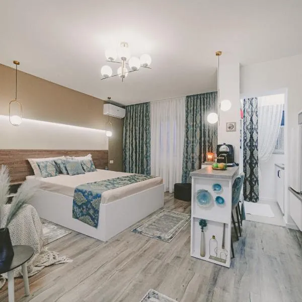 Cochet Studio，位于福克沙尼的酒店