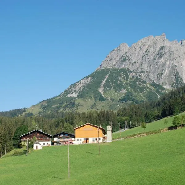 Ferienbauernhof Elmaugut，位于上柯尼希山麓米尔巴赫的酒店