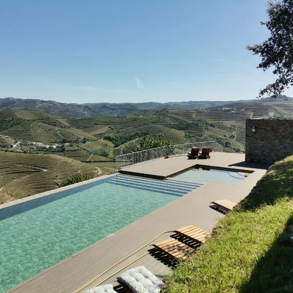Quinta de Travassinhos- Douro Valley，位于圣玛尔塔迪佩纳吉昂的酒店