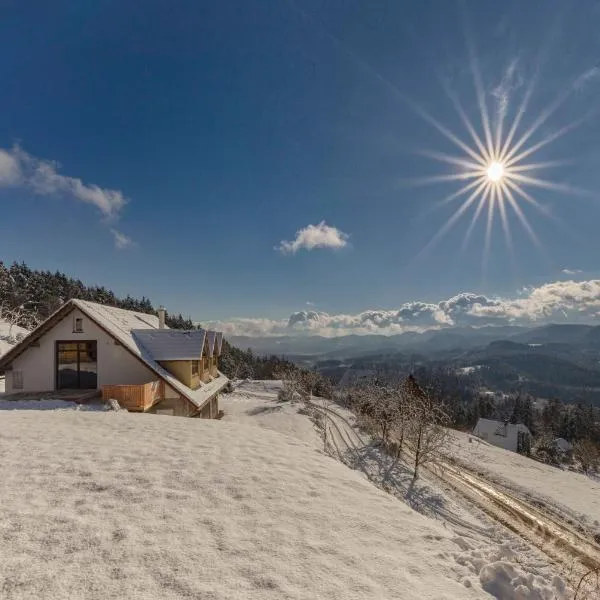 Guest House Štruc，位于Črna na Koroškem的酒店