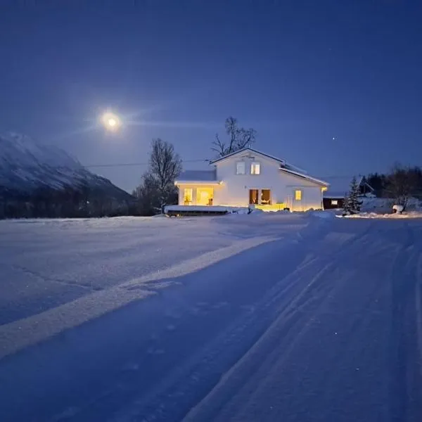 Mountainside Lodge - Breivikeidet，位于Sjursnes的酒店