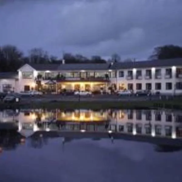 Lakeside Manor Hotel，位于Bailieborough的酒店