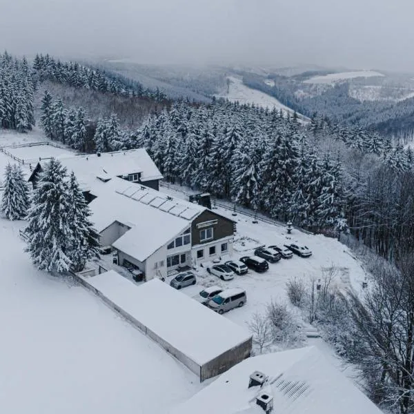 Wittgensteiner Landhaus Winterberg，位于朗格威塞的酒店