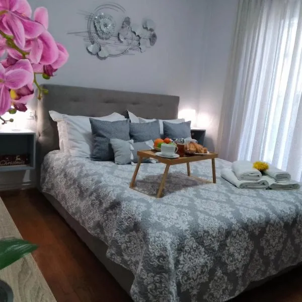Volos Hospitality, Central Apartment，位于沃洛斯的酒店