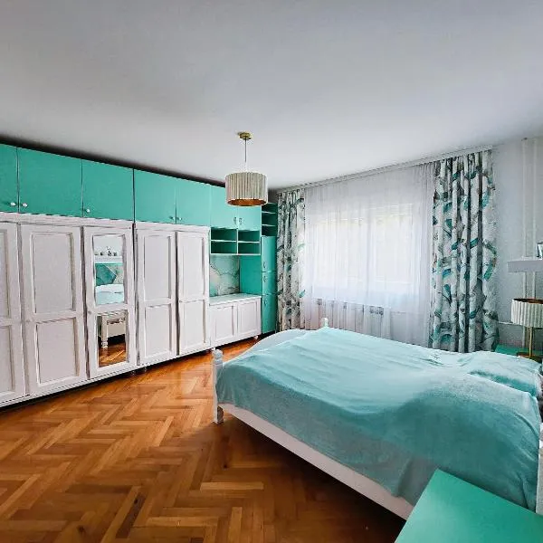 Apartman TaMaRa，位于多博伊的酒店