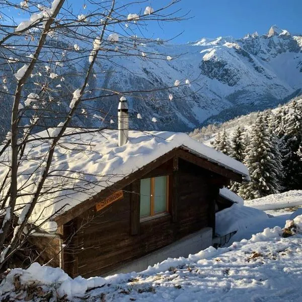 Chalet Sträba，位于贝尔瓦尔德的酒店