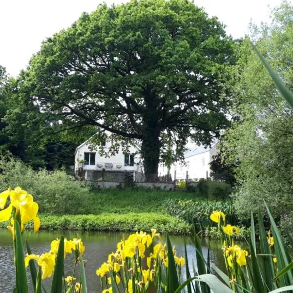 La maison de l'étang，位于Ploërdut的酒店