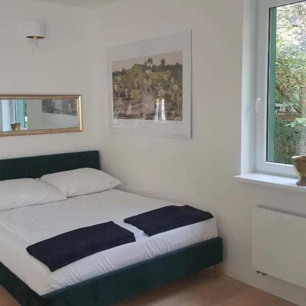 APARTAMENTY ZIELONY KAMELEON,位于布斯克·兹德鲁伊的酒店
