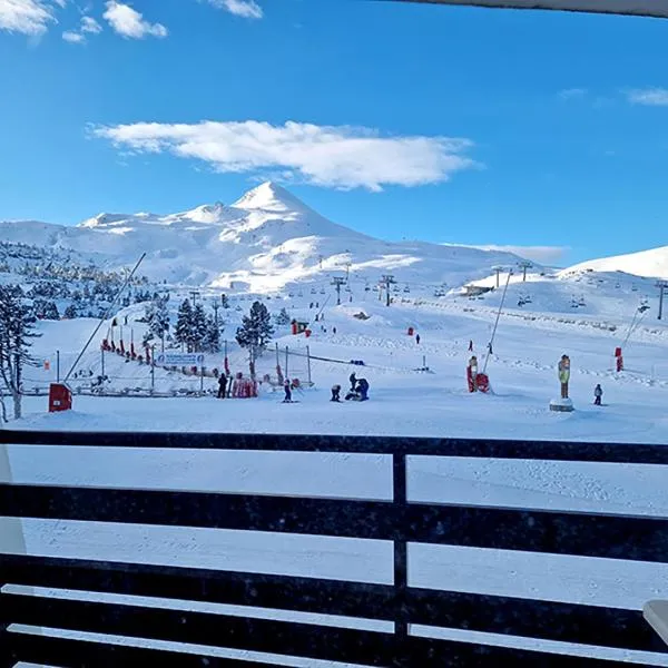 Studio Moderne au pied des pistes 4 Pers - La Pierre Saint-Martin GR10，位于阿雷特的酒店