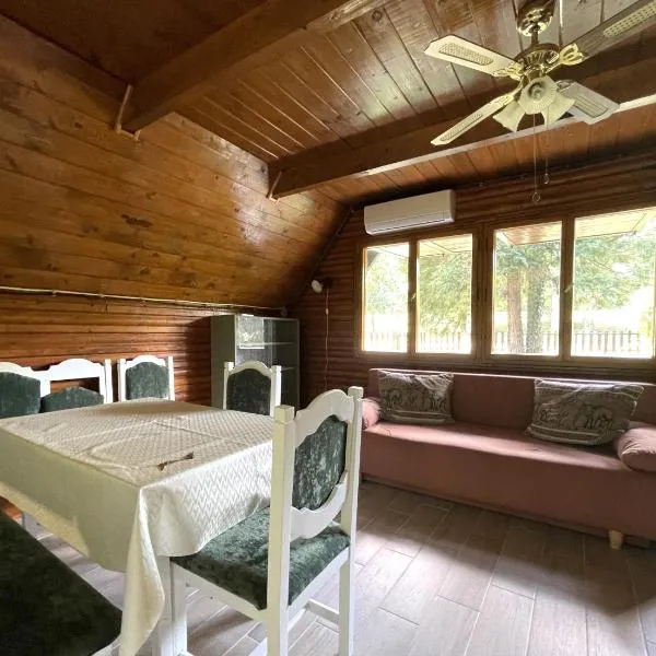 Nyírfa vendégház，位于Fadd-Dombori的酒店