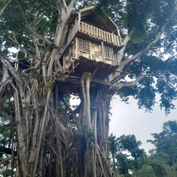 Glowing Mountain view tree house，位于Loanengo的酒店